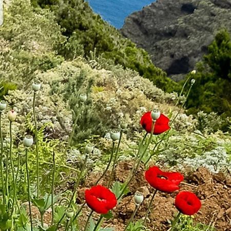 The Poppies Guest House - 100M Ocean - Private Spaces Канделария Экстерьер фото