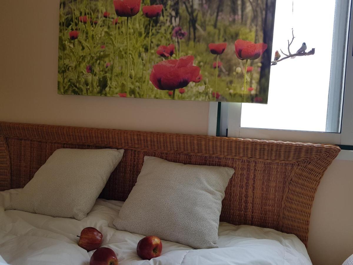 The Poppies Guest House - 100M Ocean - Private Spaces Канделария Экстерьер фото