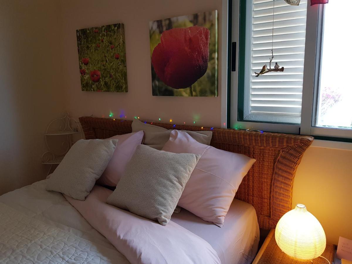 The Poppies Guest House - 100M Ocean - Private Spaces Канделария Экстерьер фото