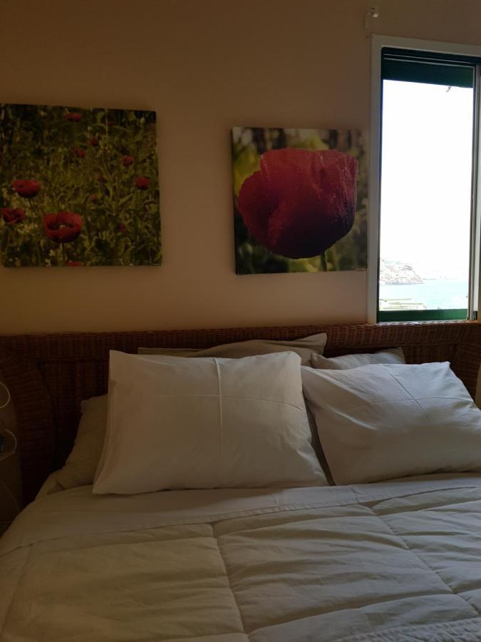 The Poppies Guest House - 100M Ocean - Private Spaces Канделария Экстерьер фото